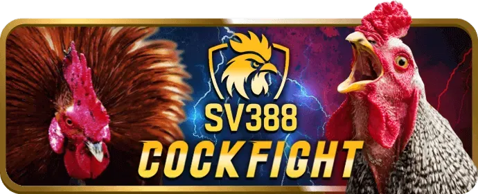Phân tích trò chơi casino p3 bet